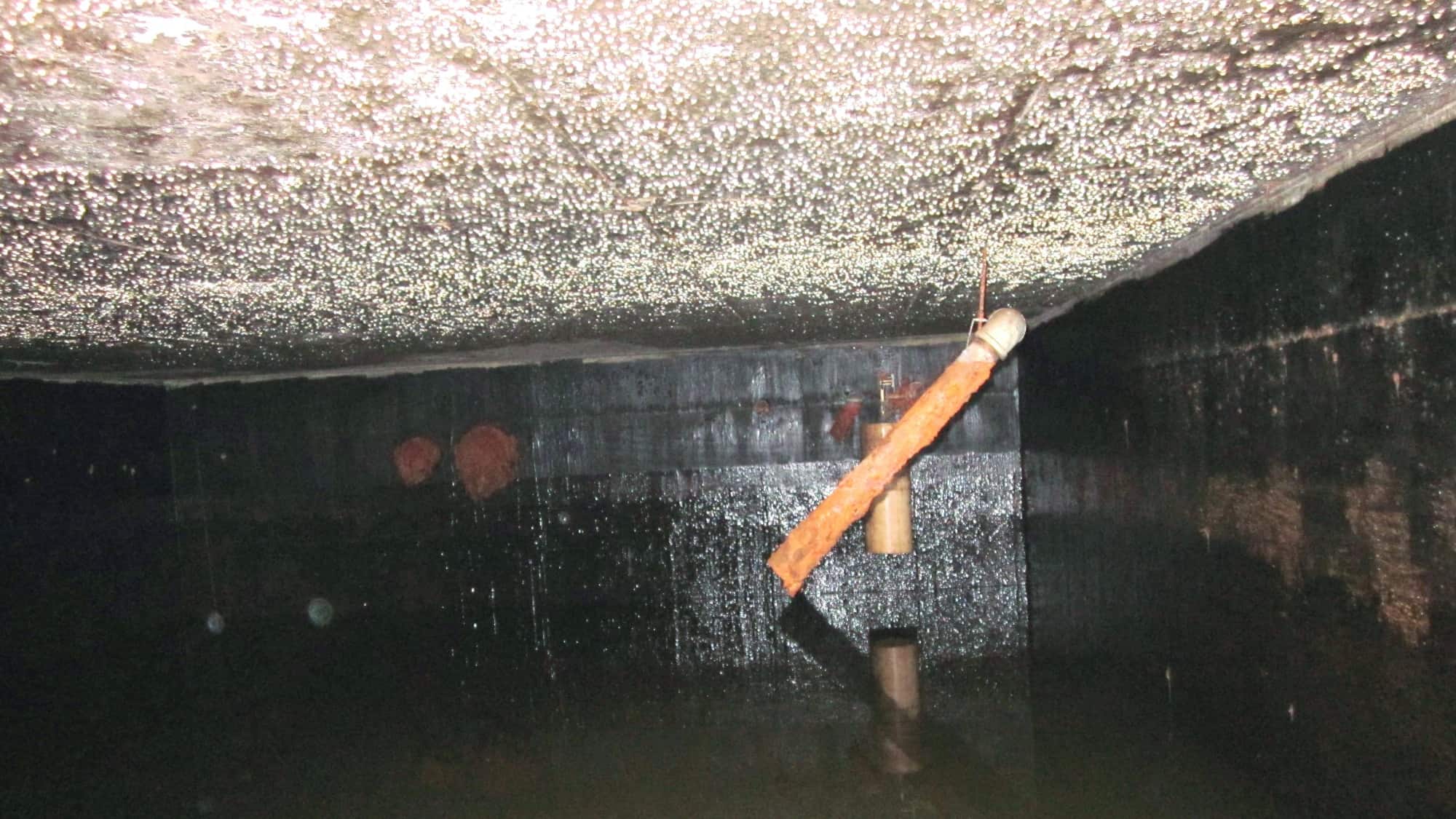 Relining Water Tanks: Waterproofing in Confined Spaces